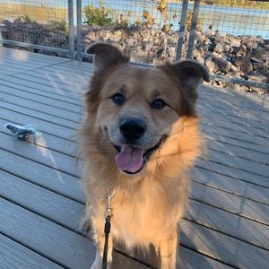 Meet your Posher, Crystal